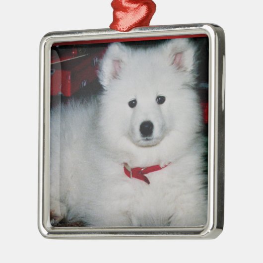Samoyed Ornament (Links)