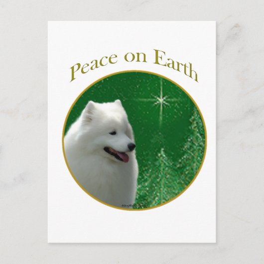 Samoyed Peace Briefkaart (Voorkant)
