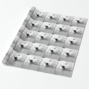 Samoyed Photo Dog White Cadeaupapier