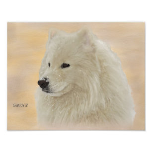 Samoyed Portrait 14x11 Kodak Quality Paper Foto Afdruk