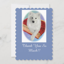 Samoyed Portrait, gescand platte Wenskaart
