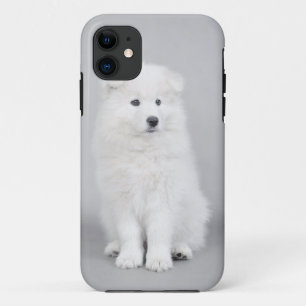 Samoyed puppy iPhone 11 hoesje