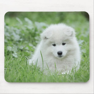 Samoyed puppy muismat
