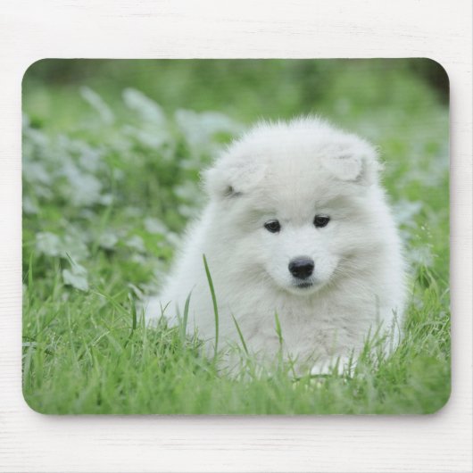 Samoyed puppy muismat (Voorkant)