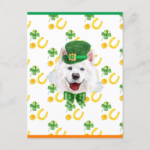 Samoyed Shamrock St. Patricks Day Feestdagenkaart