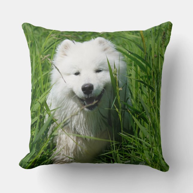 Samoyed Sierkussen (Voorkant)