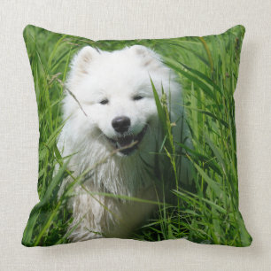 Samoyed Sierkussen