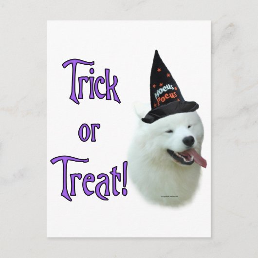 Samoyed Trick Briefkaart (Voorkant)