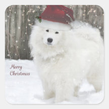 Samoyed vakantie Stickers—20 afgeronde pleinen