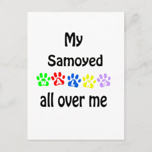 Samoyed wandelingen ontwerp briefkaart