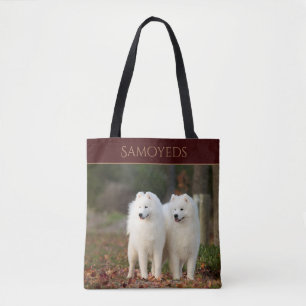 Samoyeds Draagtas