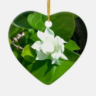 Sampaguita Jasmine Keramisch Ornament