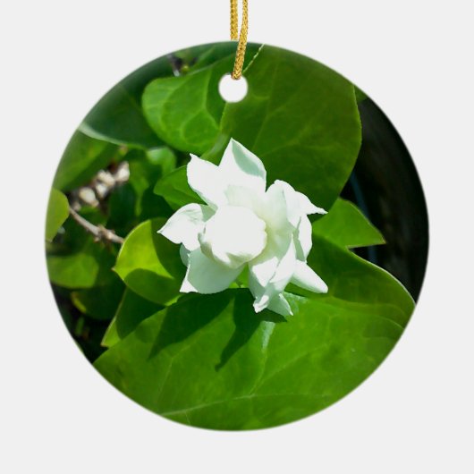 Sampaguita Jasmine Keramisch Ornament (Voorkant)