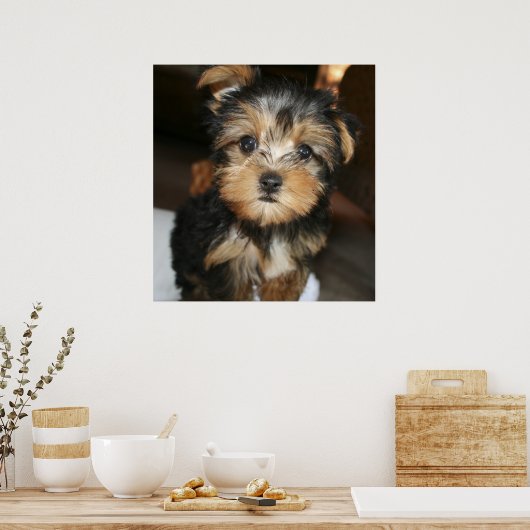 Sampson Poster (Keuken)