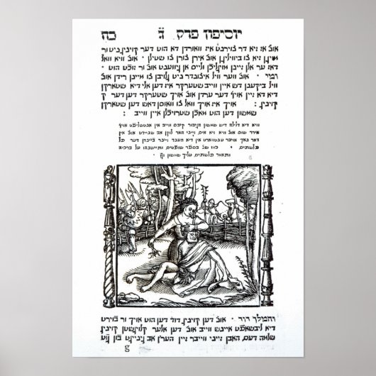 Samson en Delilah Poster (Voorkant)