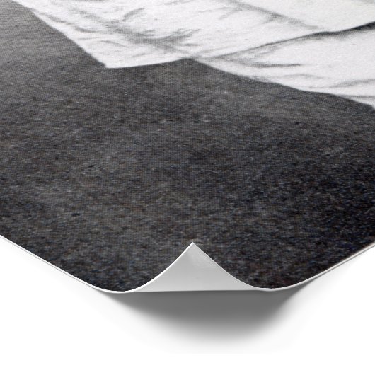 Samuel Baker, 1865 Poster (Hoek)