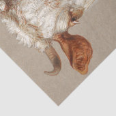 Samuel Colman | Twee studies van runderen - 1876 Tissuepapier (Detail)