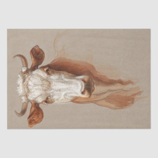 Samuel Colman | Twee studies van runderen - 1876 Tissuepapier (Voorkant)