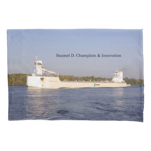 Samuel D. Chamclear & Innovation pillow hoesje Kussensloop (Voorkant)