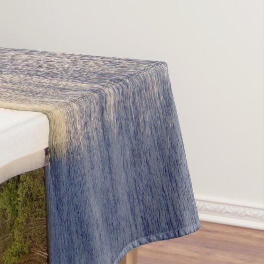 Samuel D. Champlain & nappe de table Innovation (In Situ)