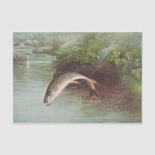 Samuel Kilbourne Laping Brook-forel - 1874 Tissuepapier