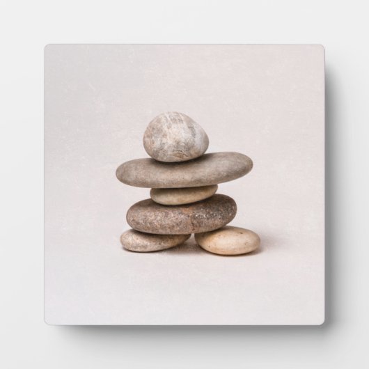 Samurai Fotoplaat (Voorkant)