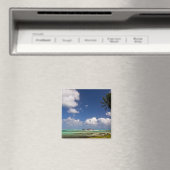 San Andres Magnet (In Situ (Lave-vaisselle))