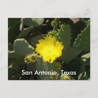 San Antonio, Texas Briefkaart