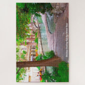 San Antonio Texas. Puzzle (Vertical)
