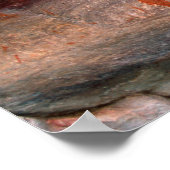 San, Bushman Rock Art, Cederberg Wilderness Poster (Hoek)