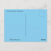 San Clemente Beach Briefkaart (Achterkant)