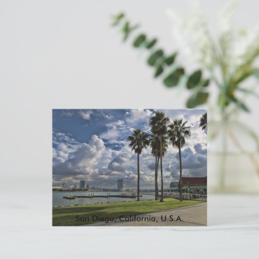San Diego, Carte postale (Debout devant)