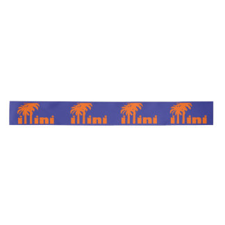 San Diego Illini Ribbon Lint