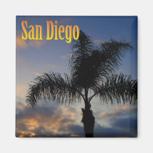 San Diego Palm Tree Magnet Magneet