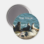 San Diego Sea Lions Magneet (Voorkant / Achterkant)