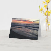 San Diego Sunset Kaart (Gele Bloem)