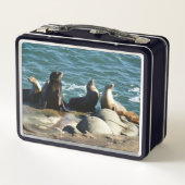 San Diego Zee Lions (Achterkant)