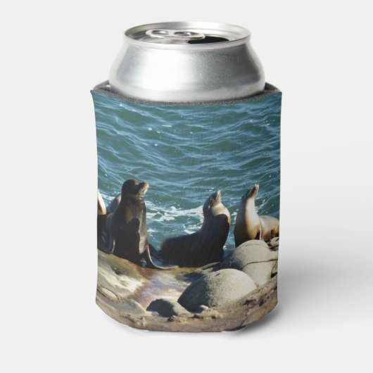 San Diego Zee Lions Blikjeskoeler (Blikje Achterkant)