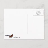 San Diego Zee Lions Briefkaart (Achterkant)