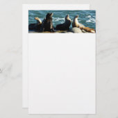 San Diego Zee Lions Briefpapier (Voorkant / Achterkant)