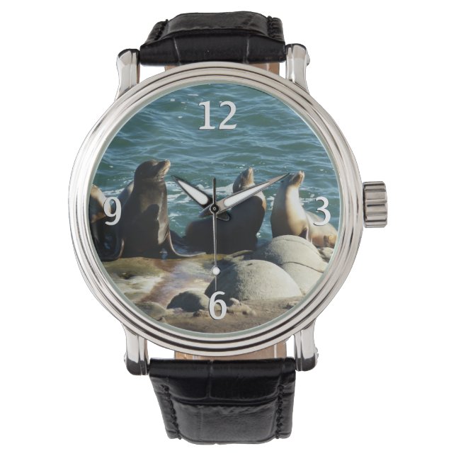 San Diego Zee Lions Horloge (Voorkant)