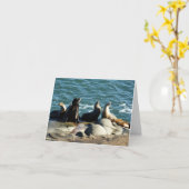 San Diego Zee Lions Kaart (Gele Bloem)