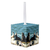San Diego Zee Lions Kubus Ornament (Achter hoekig)