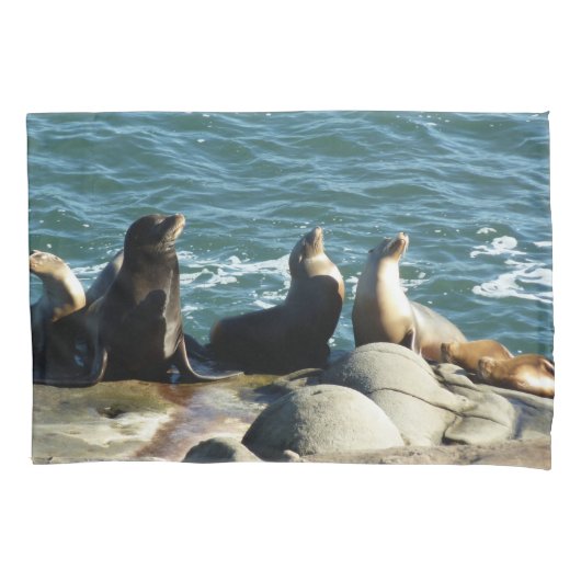 San Diego Zee Lions Kussensloop (Voorkant)