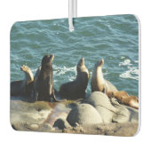 San Diego Zee Lions Luchtverfrisser (Links)