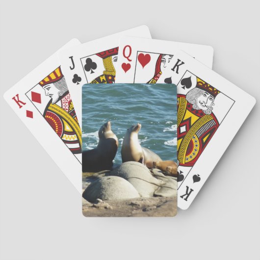 San Diego Zee Lions Pokerkaarten (Achterkant)