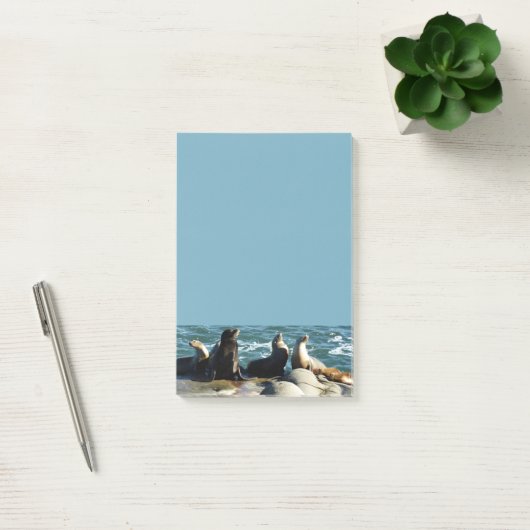 San Diego Zee Lions Post-it® Notes (Kantoor)