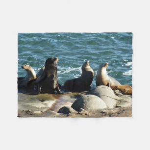 San Diego Zeeleeuwen Fleece Deken