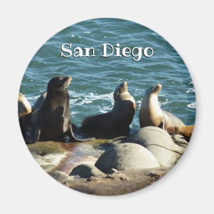 San Diego Zeeleeuwen Magneet