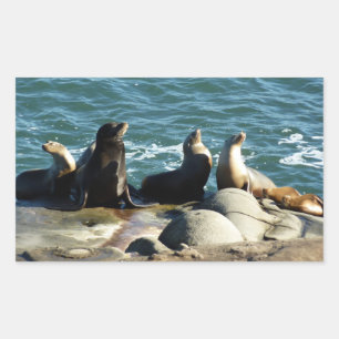 San Diego Zeeleeuwen Rechthoekige Sticker